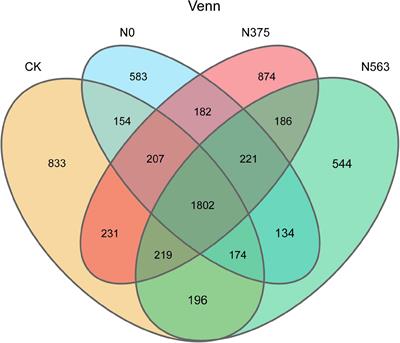 Different Amounts of Nitrogen Fertilizer Applications Alter the Bacterial Diversity and Community Structure in the Rhizosphere Soil of Sugarcane